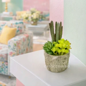 Realistic Artificial Succulent Cactus in Rustic Ceramic Pot Mini Tabletop Decor